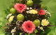 Flowers From The Heart - thumb 0