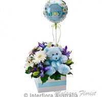 Malpara Florist - Internet Find