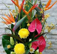 Blossoms of Tweed Banora - Internet Find