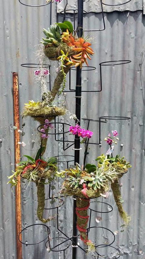 Floral Notes - Internet Find 4