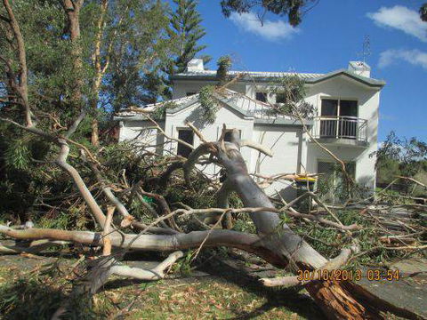 Almighty Trees & Demolition - Internet Find 0