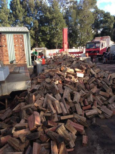 Almighty Trees & Demolition - Internet Find 2