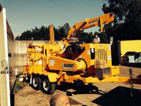 Almighty Trees & Demolition - Internet Find 8