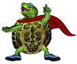 Turtle’s Pool & Spa Technologies - Internet Find 5