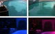Jetty Pool Shop - thumb 4