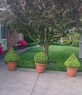 Bowral Mowers - Internet Find 3