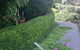 Bowral Mowers - thumb 4