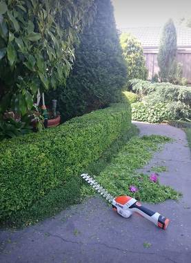 Bowral Mowers - Internet Find 4