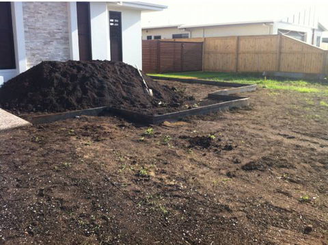 Turfgrass Mackay - Internet Find 9