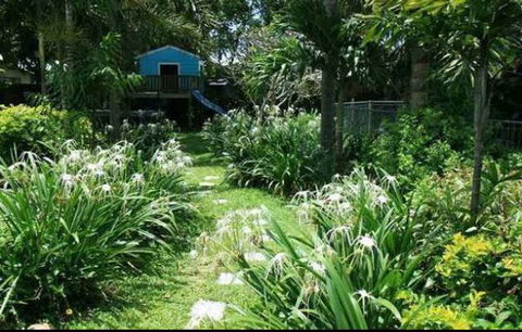 Turfgrass Mackay - Internet Find 12