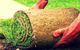 Turfgrass Mackay - thumb 15