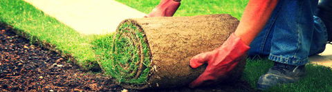 Turfgrass Mackay - Internet Find 15