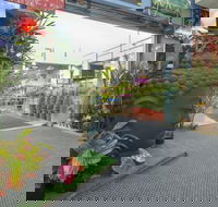 Porters Mitre 10 Mackay City - Internet Find