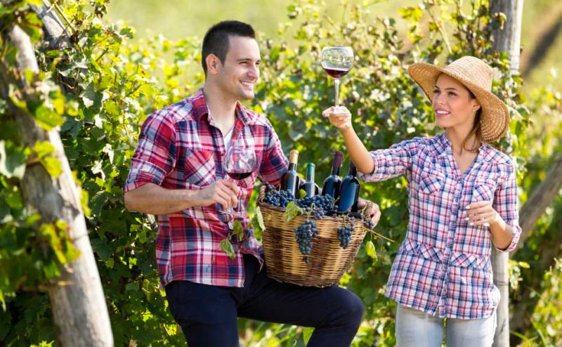 Tourist Attractions Services Nana Glen NSW Internet Find