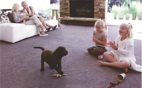 Tucknott’s Carpets & Blinds - Internet Find 1