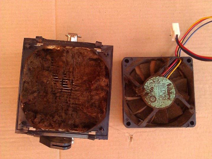 Struts Sales Repairs Internet Find