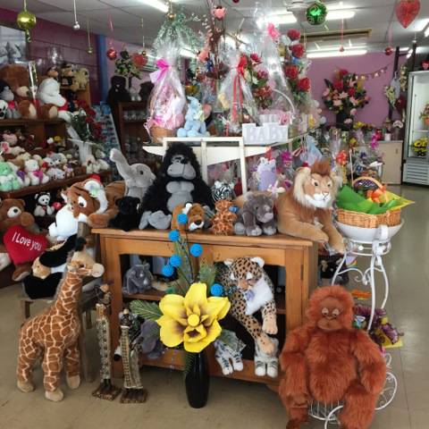 Florists Supplies Rockhampton QLD Internet Find