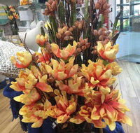 Harrington Waters Village Pharmacy - Internet Find