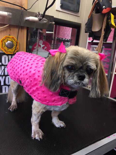 Lyns Total Pet Care - Internet Find 3