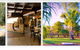 Lazy Lizard Tavern & Caravan Park - thumb 0