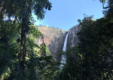 Hinchinbrook Hiking- Scenic Tours - Internet Find 1
