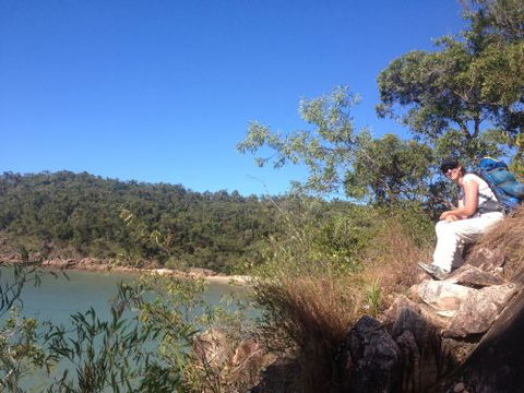 Hinchinbrook Hiking- Scenic Tours - Internet Find 2