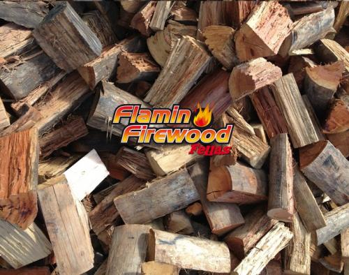 Pet Food Supplies Medowie NSW Internet Find