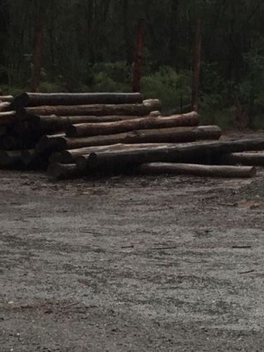 Port Stephens Firewood - Internet Find 1