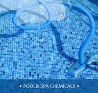 Sadies Chemicals  Cleaning Products - Internet Find