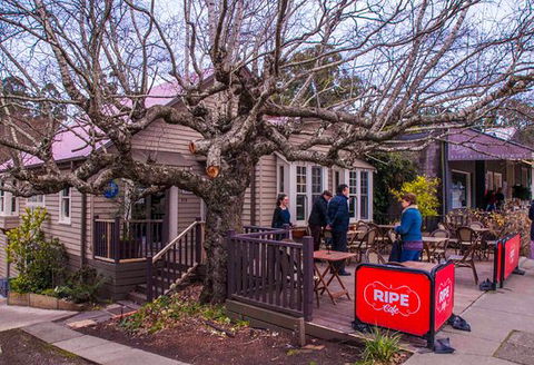 Ripe - Internet Find 0