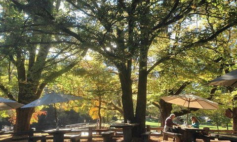 Ginger Baker Wine Bar And Cafe - Internet Find 8