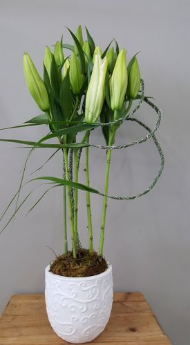 Warners Bay Florist - Internet Find 0