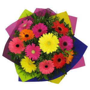 Florists Supplies Lismore NSW Internet Find