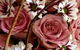Flowers By Elise - thumb 3