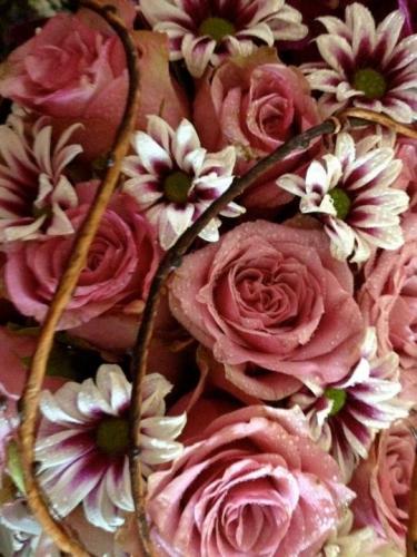 Flowers By Elise - Internet Find 3