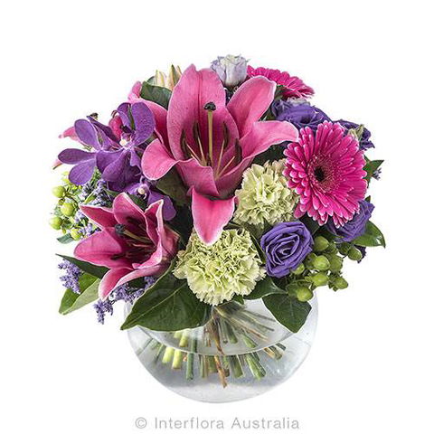 Boydita Flowers Delivered - Internet Find 0