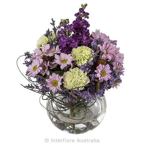 Boydita Flowers Delivered - Internet Find 2