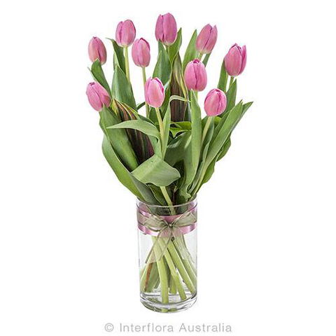 Boydita Flowers Delivered - Internet Find 3