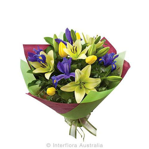 Boydita Flowers Delivered - Internet Find 4