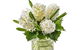 Boydita Flowers Delivered - thumb 5