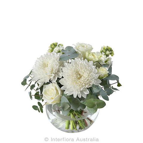 Boydita Flowers Delivered - Internet Find 6