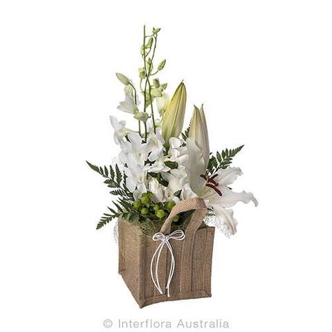 Boydita Flowers Delivered - Internet Find 7