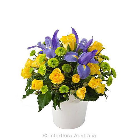 Boydita Flowers Delivered - Internet Find 8