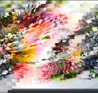 Bloomz on Central - Internet Find