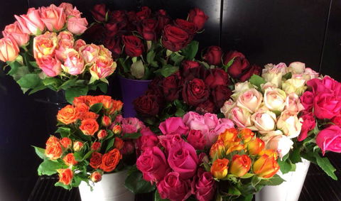 Townsville Hospital Florist - Internet Find 4