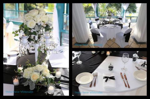 Divine Decor Whitsundays - Internet Find 3