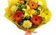 Primavera Flowers - thumb 4
