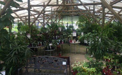 Limberlost Nursery & Garden Centre - Internet Find 1