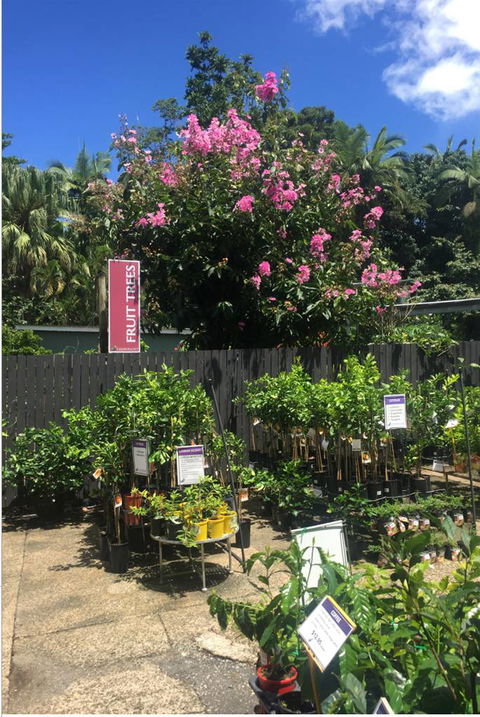 Limberlost Nursery & Garden Centre - Internet Find 3