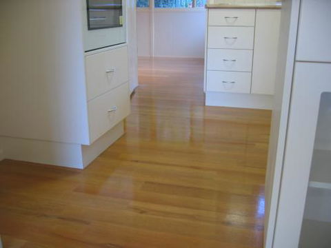 Carpet Court Design Carpets - Internet Find 1